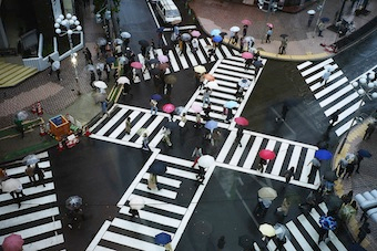 Illustration for article titled Why Street Signs Make Traffic More Dangerous